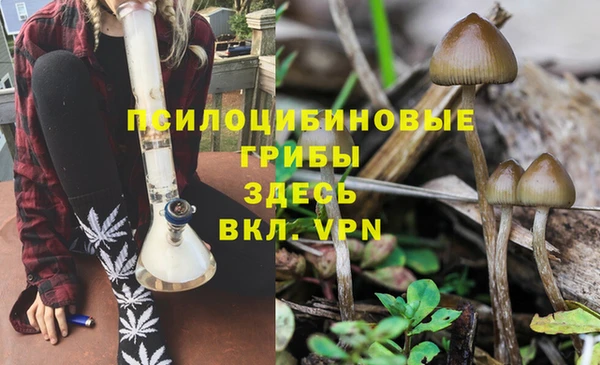 мет Кинешма