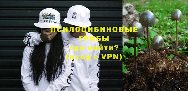 тгк Карталы